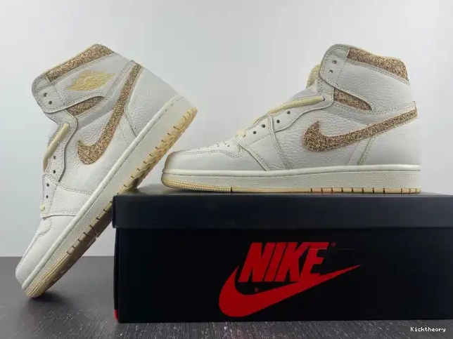 Kicktheory FD8631-100 1 High Jordan Air Craft OG 0611